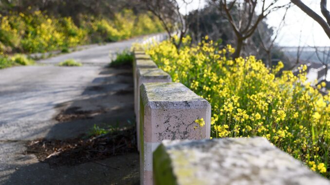 Asylon and Thrive Logic bring physical AI to enterprise perimeter security