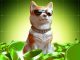 Dogecoin (DOGE) Price Jumps 7% With Volume Hitting $3 Billion