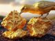 Gold miner Bluebird to convert gold revenues into Bitcoin reserve, stock jumps 63% intraday