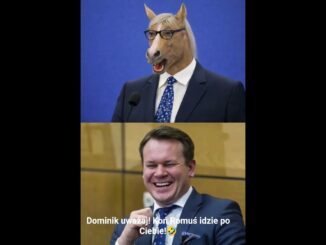 @Dominik koń Romuś idzie po Ciebie🤣 #polityka #parodia #ai #news #polska