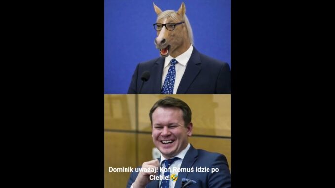 @Dominik koń Romuś idzie po Ciebie🤣 #polityka #parodia #ai #news #polska