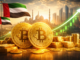 Abu Dhabi's Sovereign Wealth Funds Buy The Bitcoin Dip