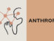 Anthropic Opus 4.6 Launch Adds Multi-Agent Teams at $350B Valuation