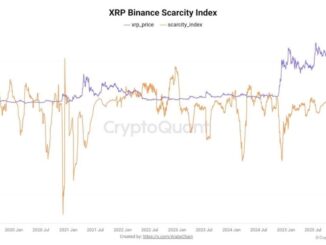 XRP Crypto Holders Pull Coins Off Exchanges, On-Chain Data Signals Supply Shock