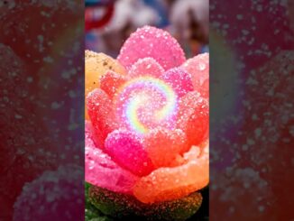 petals #fantasy #life #new #candyworld #Flower #kids #viral #ai #news #funny#shorts#viralshorts